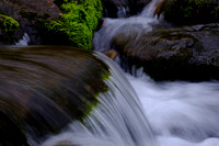 Roaring Fork-0044