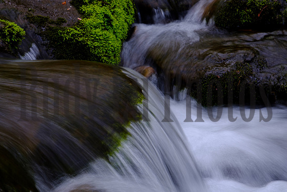 Roaring Fork-0044