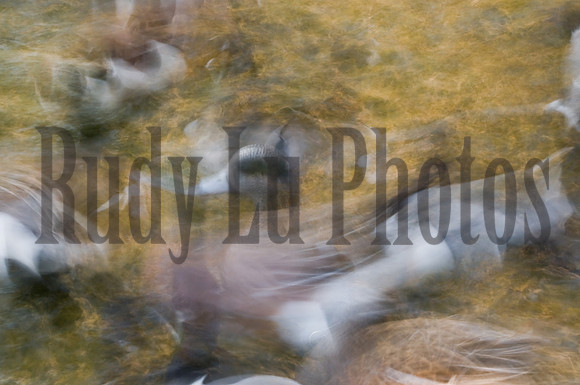 20140510-untitled-6