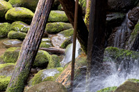 Roaring Fork-0053
