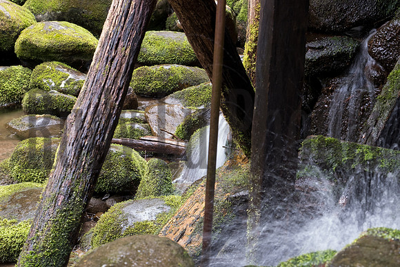 Roaring Fork-0053