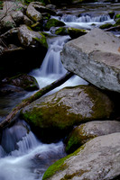 Roaring Fork-0036