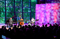 billychildstrio7726skidmorejazz-2310