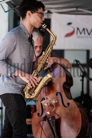 siegel jazz on jay 2016-1971