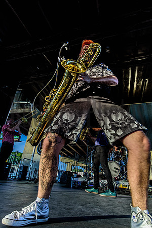 albanyfest2016-9957-Edit