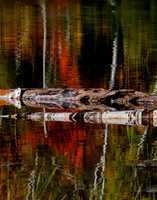 13thLake2019-8201-Enhanced