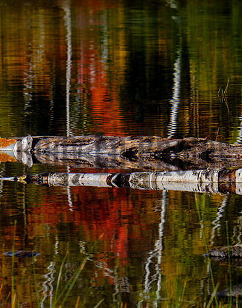13thLake2019-8201-Enhanced