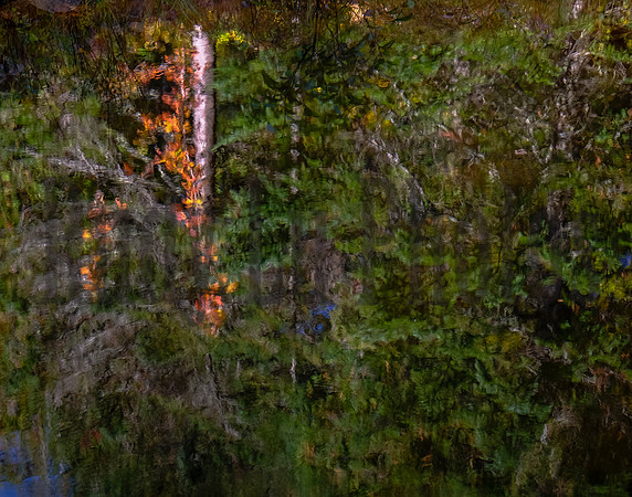 13thLake2019-8226