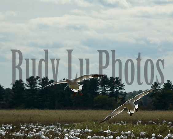 20140510-untitled-1-4