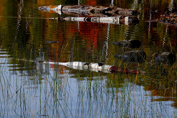 13thLake2019-8200