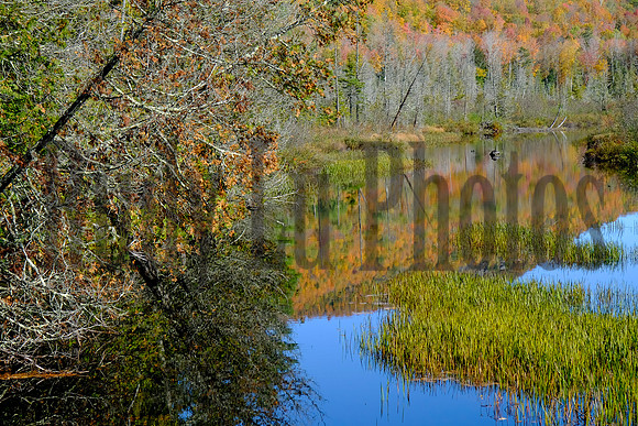 13thLake2019-8228