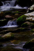 Roaring Fork-0047