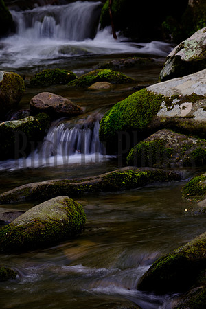 Roaring Fork-0047