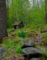 Roaring Fork-0052