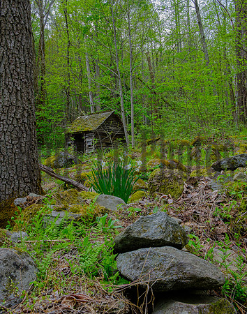 Roaring Fork-0052