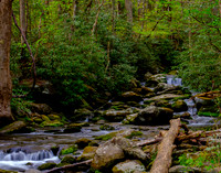 Roaring Fork-0035