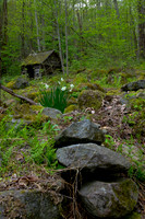 Smokies Roaring Fork Visible Light