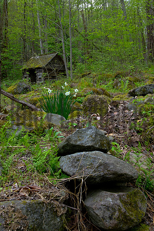 Roaring Fork-