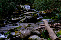 Roaring Fork-0038