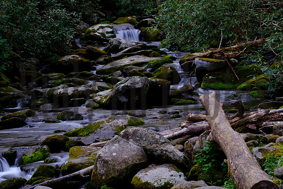 Roaring Fork-0038
