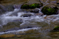 Roaring Fork-0046