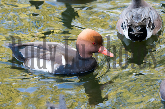 20140510-untitled-2