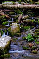 Roaring Fork-0042