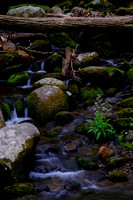 Roaring Fork-0041