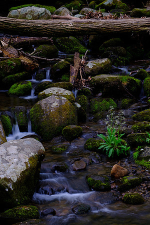 Roaring Fork-0041
