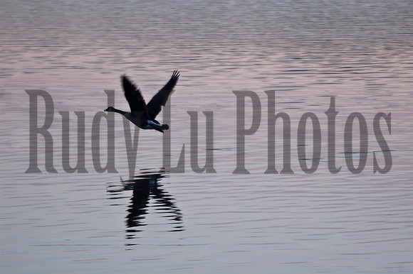 20140510-untitled-3-2