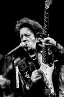 WillieNile2019-7023