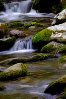 Roaring Fork-0048