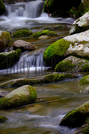 Roaring Fork-0048