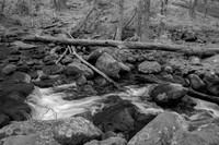Smokies Roaring Fork 550 IR