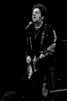 WillieNile2019-6952