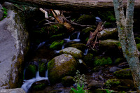 Roaring Fork-0037