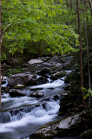 Smokies Tremont- visible light
