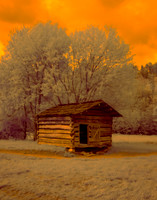 Smokies Cades Cove 550 IR