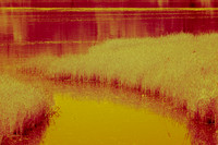 July 550 IR full size