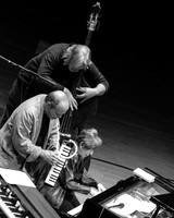 ShawMedeski-0068