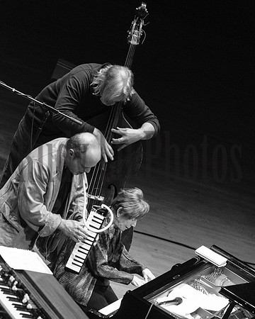 ShawMedeski-0068