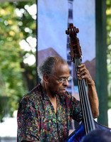 LGJF2017-8379
