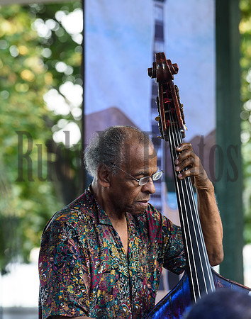 LGJF2017-8379