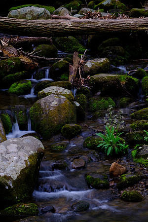 Roaring Fork-0040