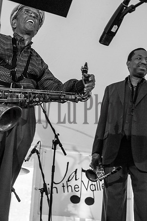 Jazzinthevalley2013 saxophone summit-41