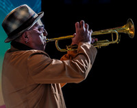 Steve Bernstein-3715
