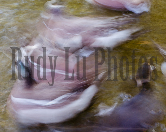 20140510-untitled-3