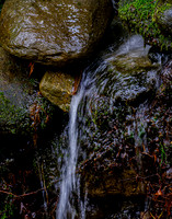 Roaring Fork-0060