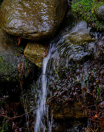 Roaring Fork-0060