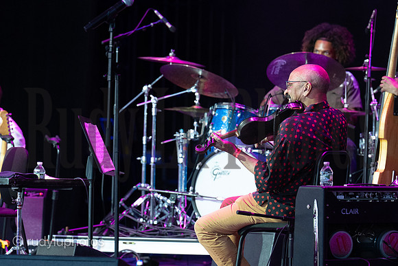 saratogajazzvernova-spac-3525